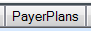 10. PayerPlans tab