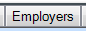13. Employers tab