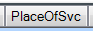 18. PlaceOfSvc tab