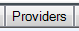 4. Providers tab