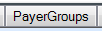 9. PayerGroups tab